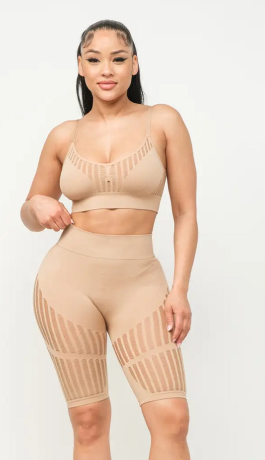 Dannie Active Set Nude